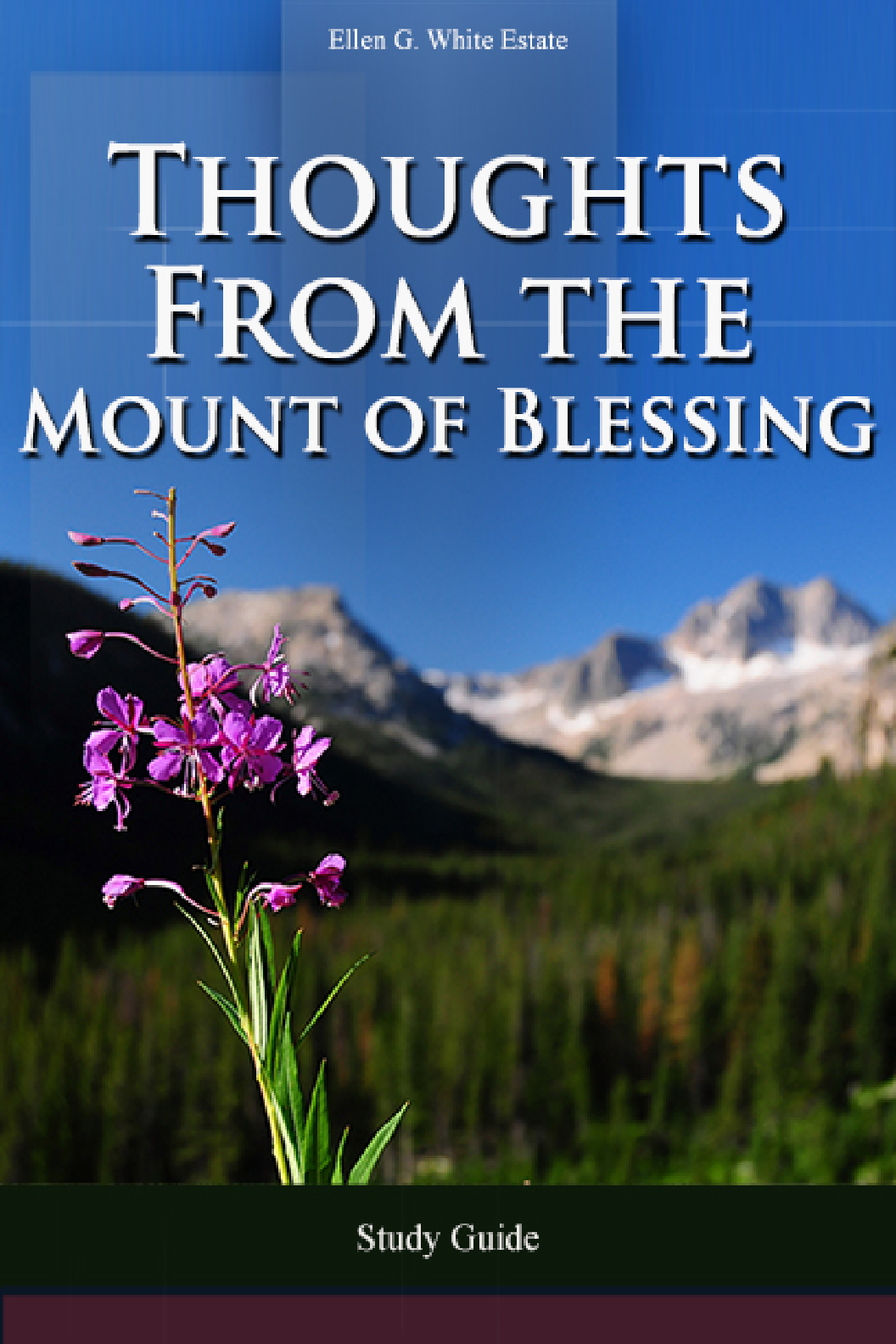 Thoughts From The Mount Of Blessings Study Guides