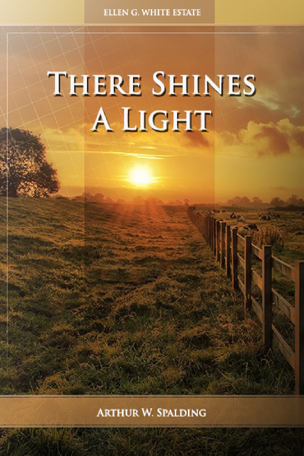 There Shines A Light